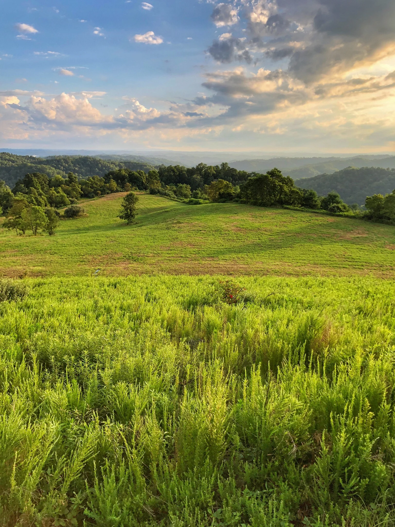 PHOTO TOUR: 13 things to do in the Grand Canyon of the South