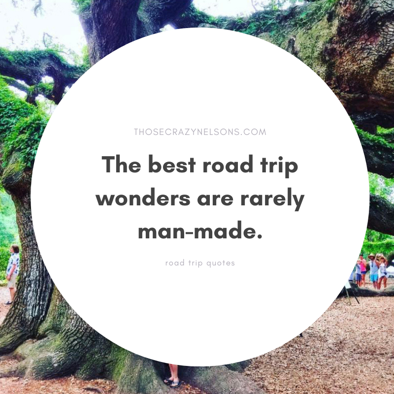 30 Must-Read Road Trip Quotes For Your Next Long Drive — Those Crazy ...