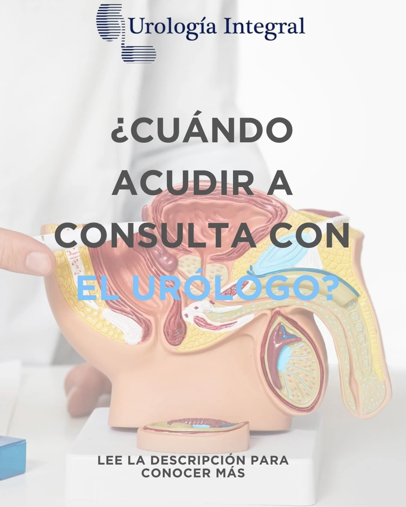 🩺 Acudir al ur&oacute;logo no es solo cuando hay dolor. Muchas enfermedades urol&oacute;gicas pueden detectarse antes de que aparezcan los s&iacute;ntomas.

👨&zwj;⚕️ Agenda una valoraci&oacute;n si presentas:
✔️ Dificultad, dolor o ardor al orinar
