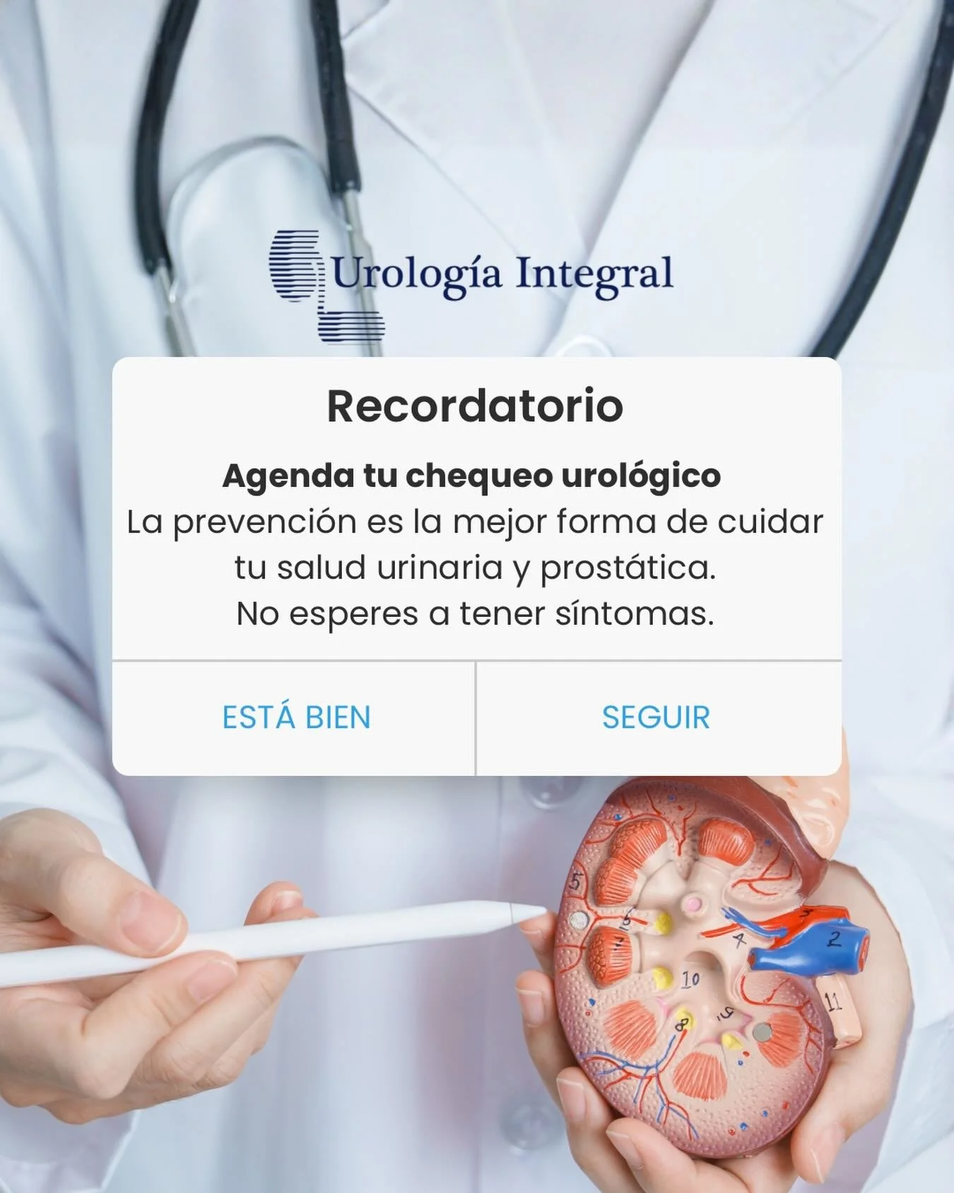 La urolog&iacute;a no solo trata enfermedades cuando aparecen, tambi&eacute;n se enfoca en la prevenci&oacute;n y el diagn&oacute;stico oportuno.

Acudir con el ur&oacute;logo permite detectar a tiempo problemas en:
&bull; 💧 Ri&ntilde;ones
&bull; 🚽
