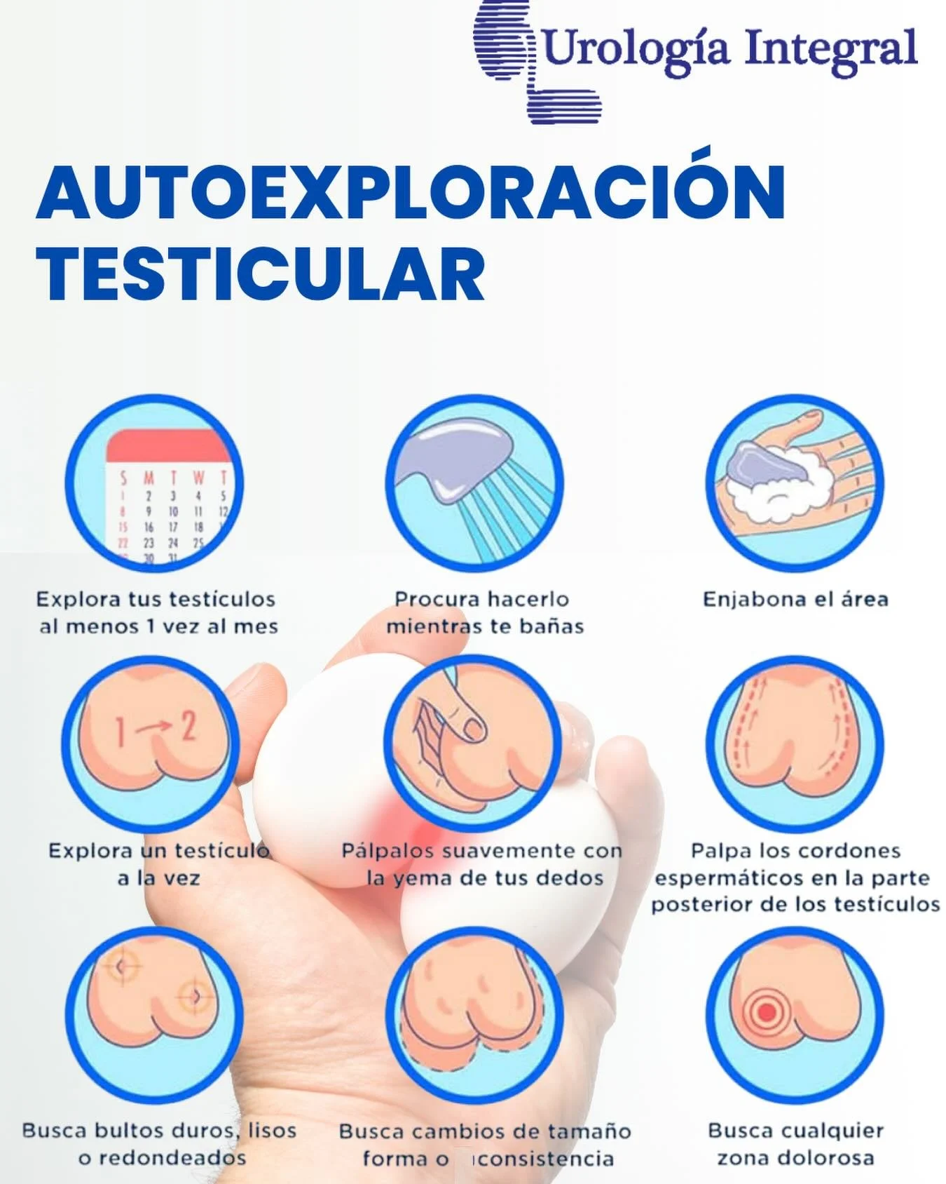 🩺La autoexploraci&oacute;n testicular es una forma sencilla de detectar cambios a tiempo y cuidar tu salud.

📅 Se recomienda realizarla una vez al mes, de preferencia despu&eacute;s del ba&ntilde;o, cuando la piel est&aacute; m&aacute;s relajada.

