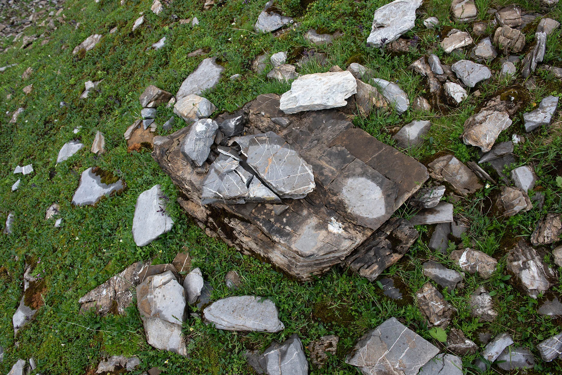 Jochpass_8082.jpg