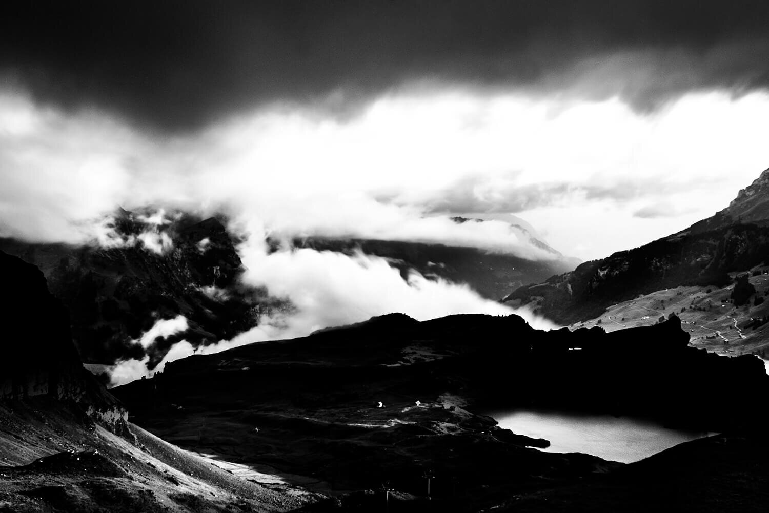 _DSC8323b.jpg