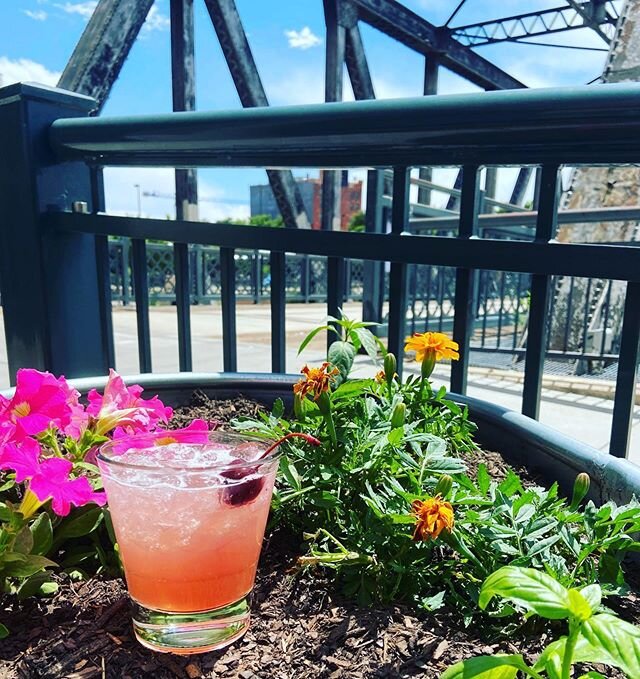 We open at 4pm today! Come join us on the patio for a #staycation cocktail (or two). @skyhighcocktails #coohills #patioseason #cocktailsofinstagram #patiolife #denverbarscene #drinkupdenver #5280cocktails #pinkpatio #lemoose  @leopoldbros @wheatleyvo