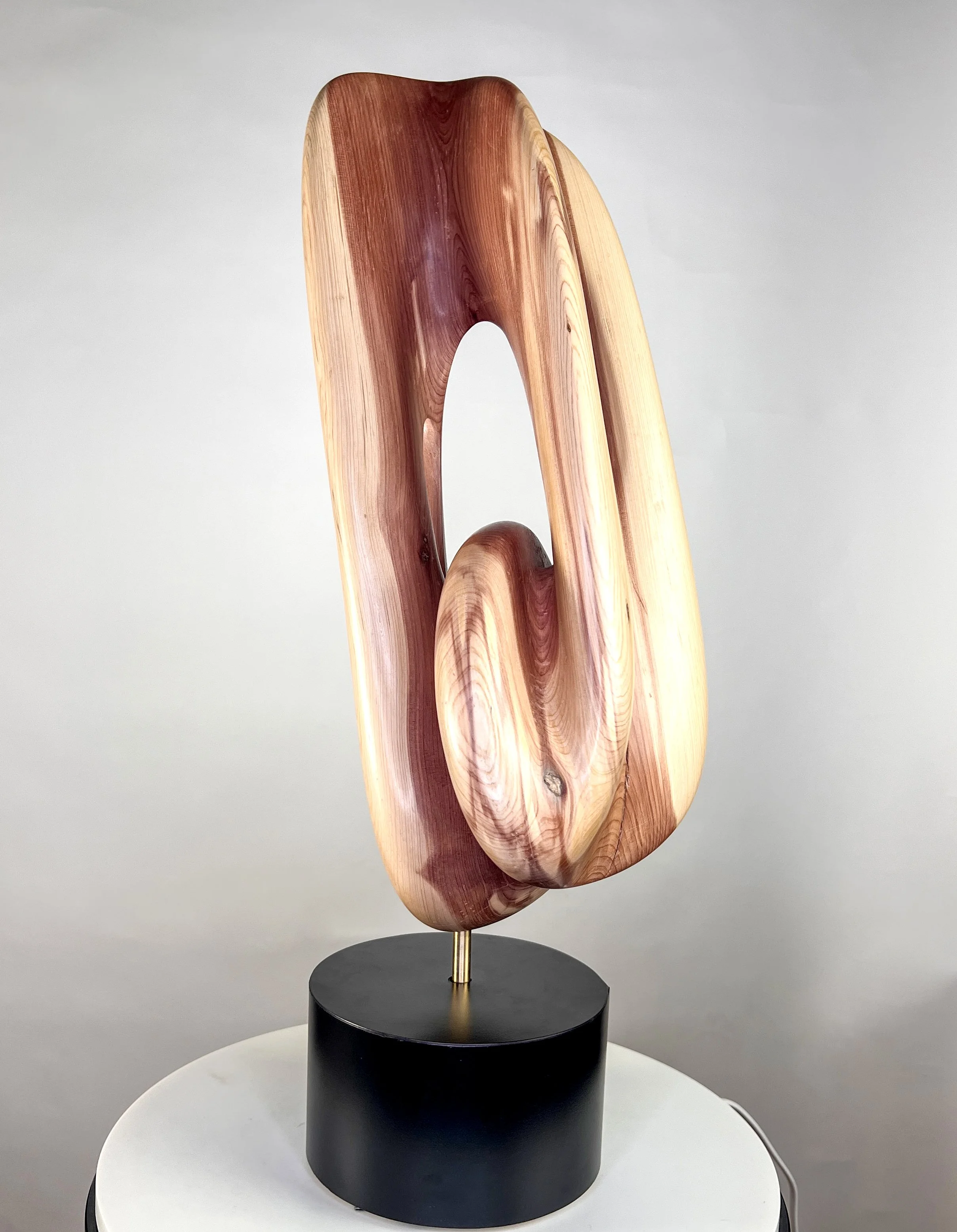 Lost in a Dream, 2025. 22"H x 7"W x 7"D, Cedar, solid brass rods, black matte Micarta custom base with recessed ball-bearing swivel mechanism.