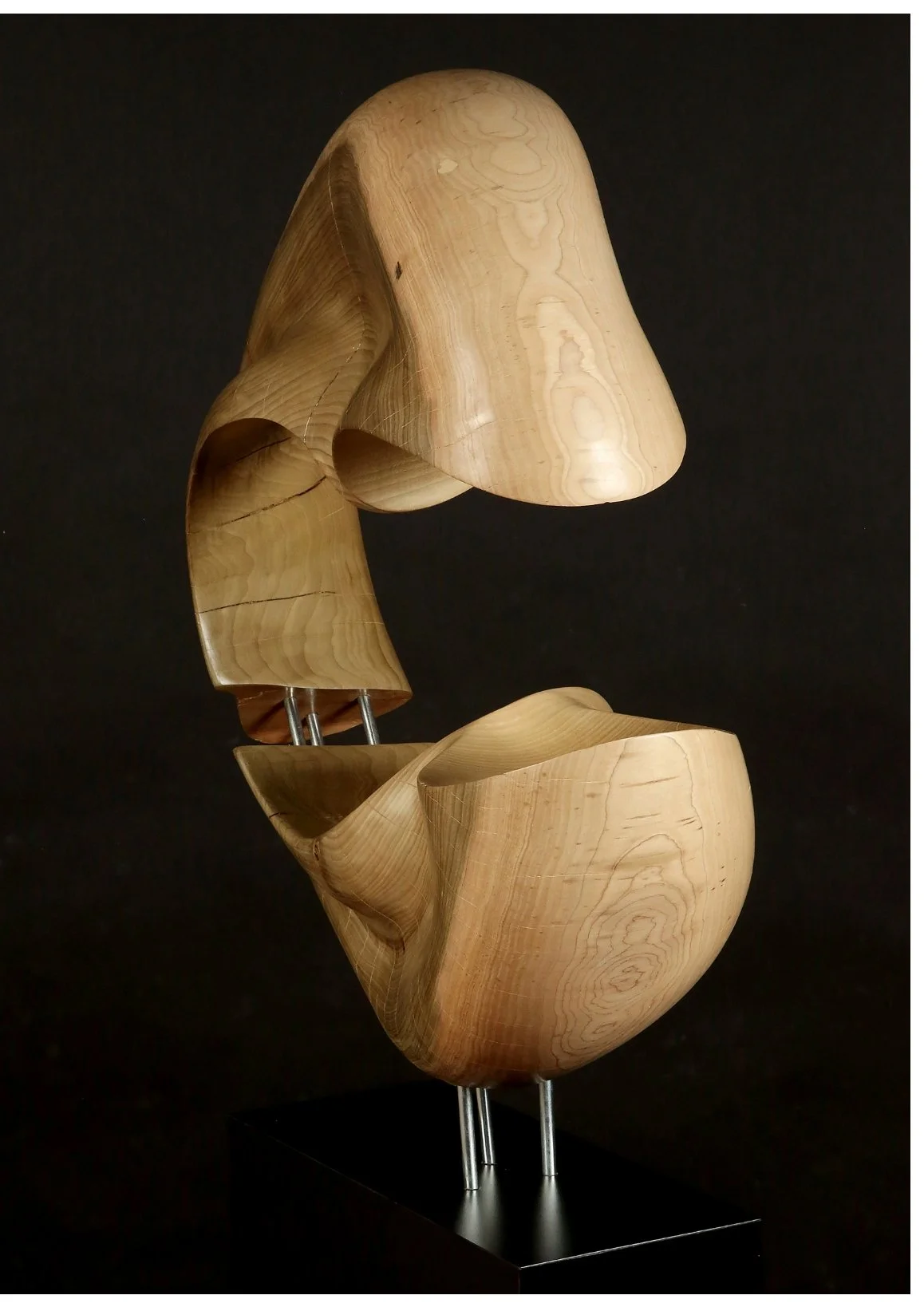 Robert Irwin Wolf 4.jpg