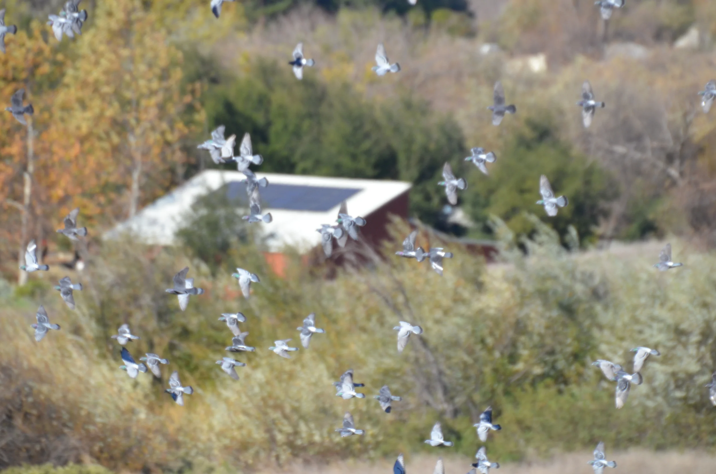 Chumash Indian Center, Pt. Mugu State Park, Thousand Oaks