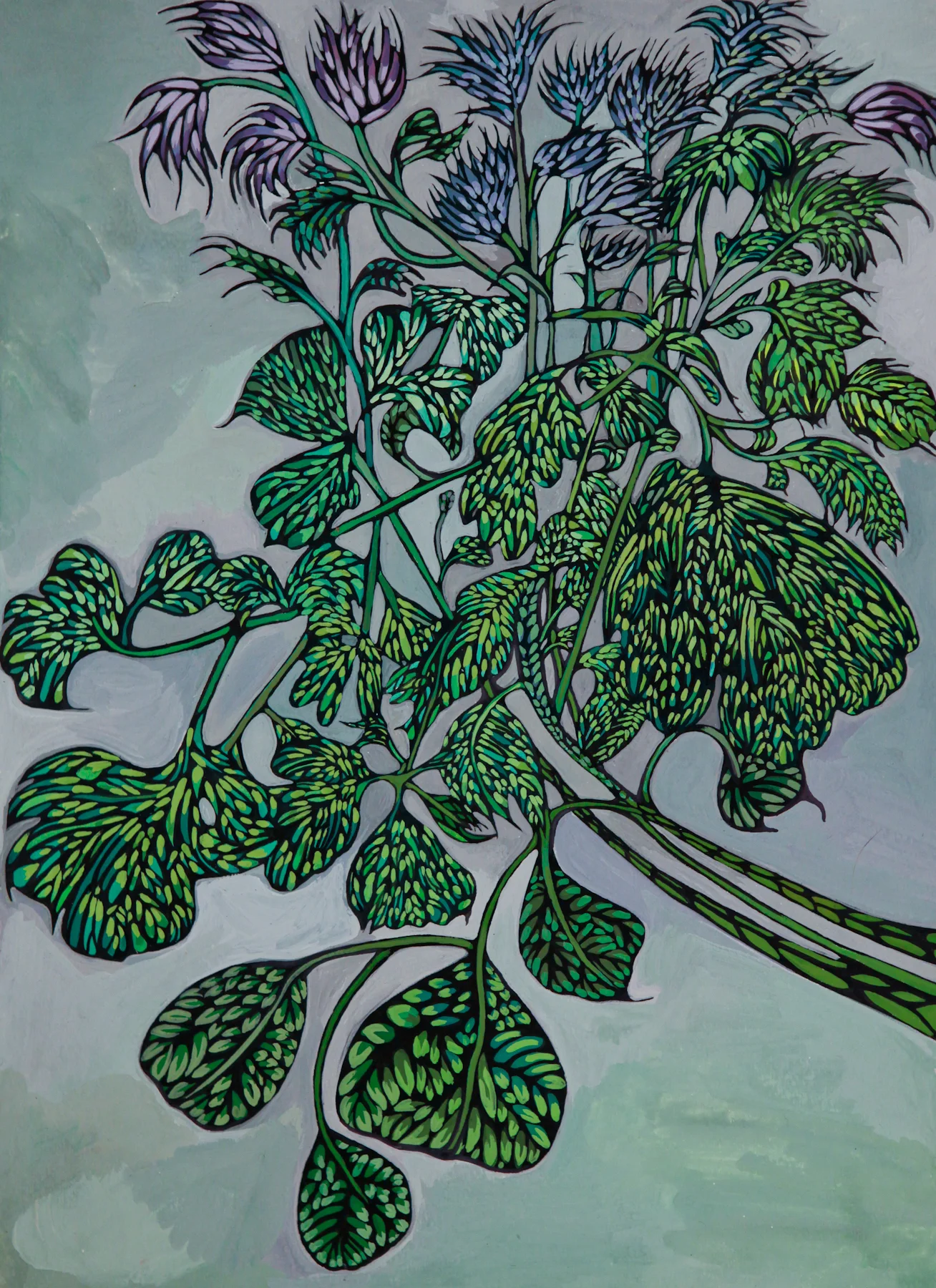 A Spring Wind