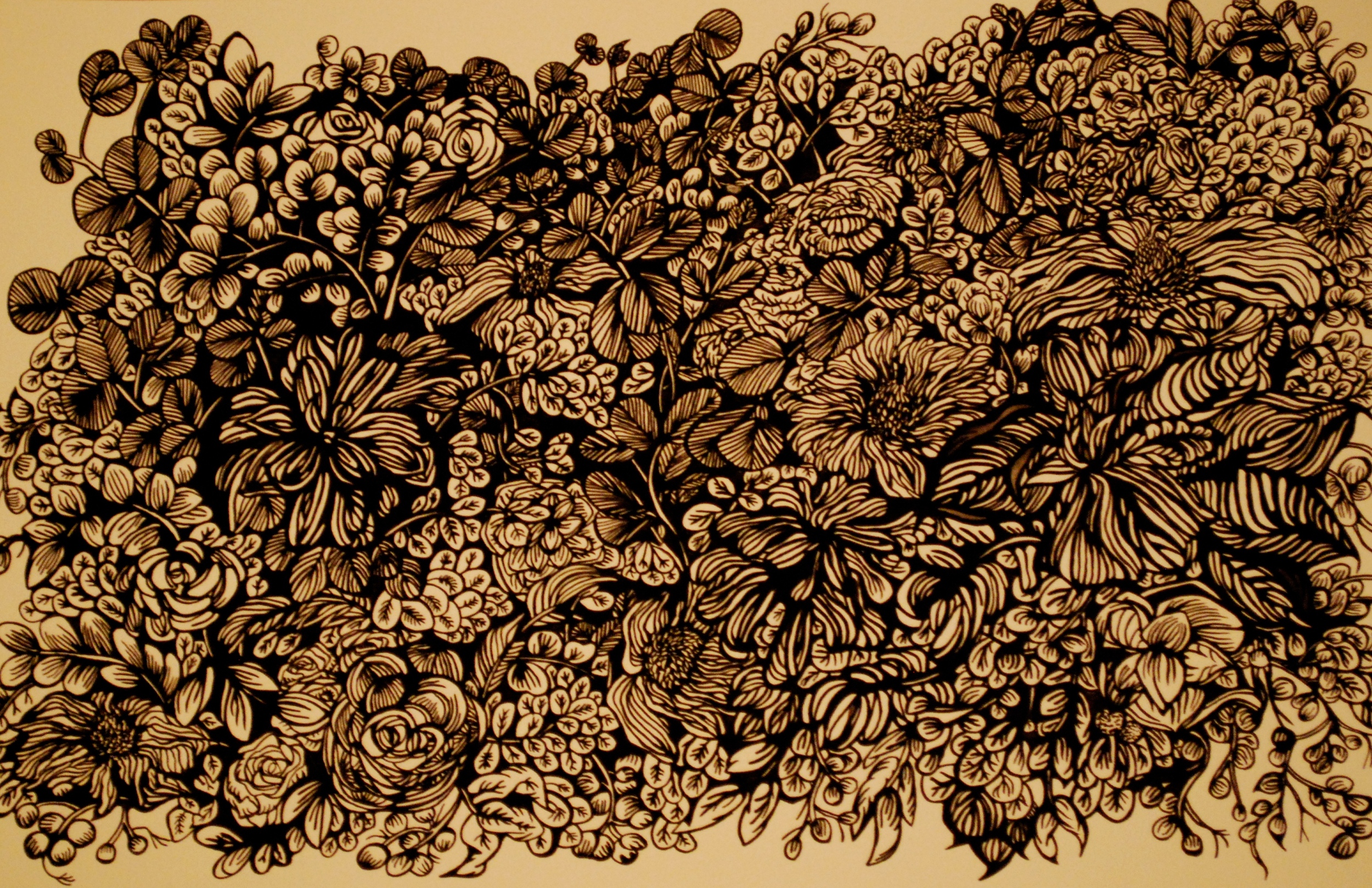 Roses; Succulents; Sunflowers
