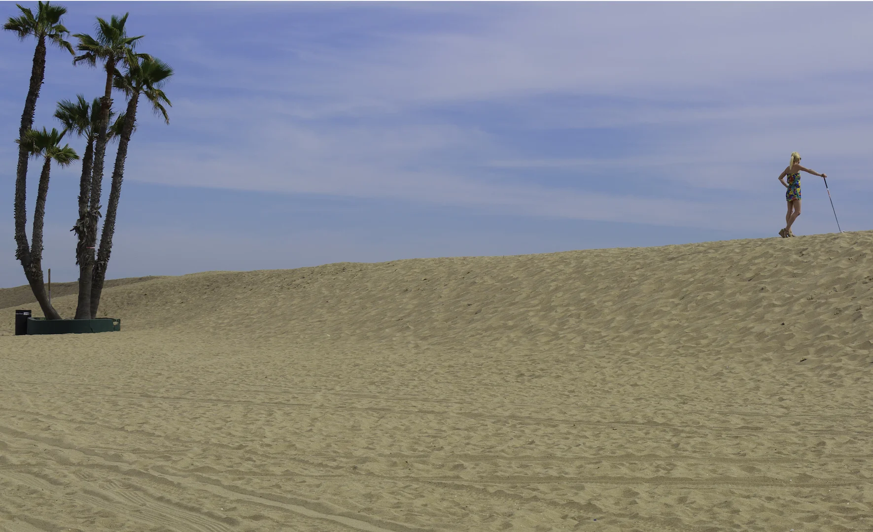 MPR_Palombo_3_TheDrive RESIZED.jpeg