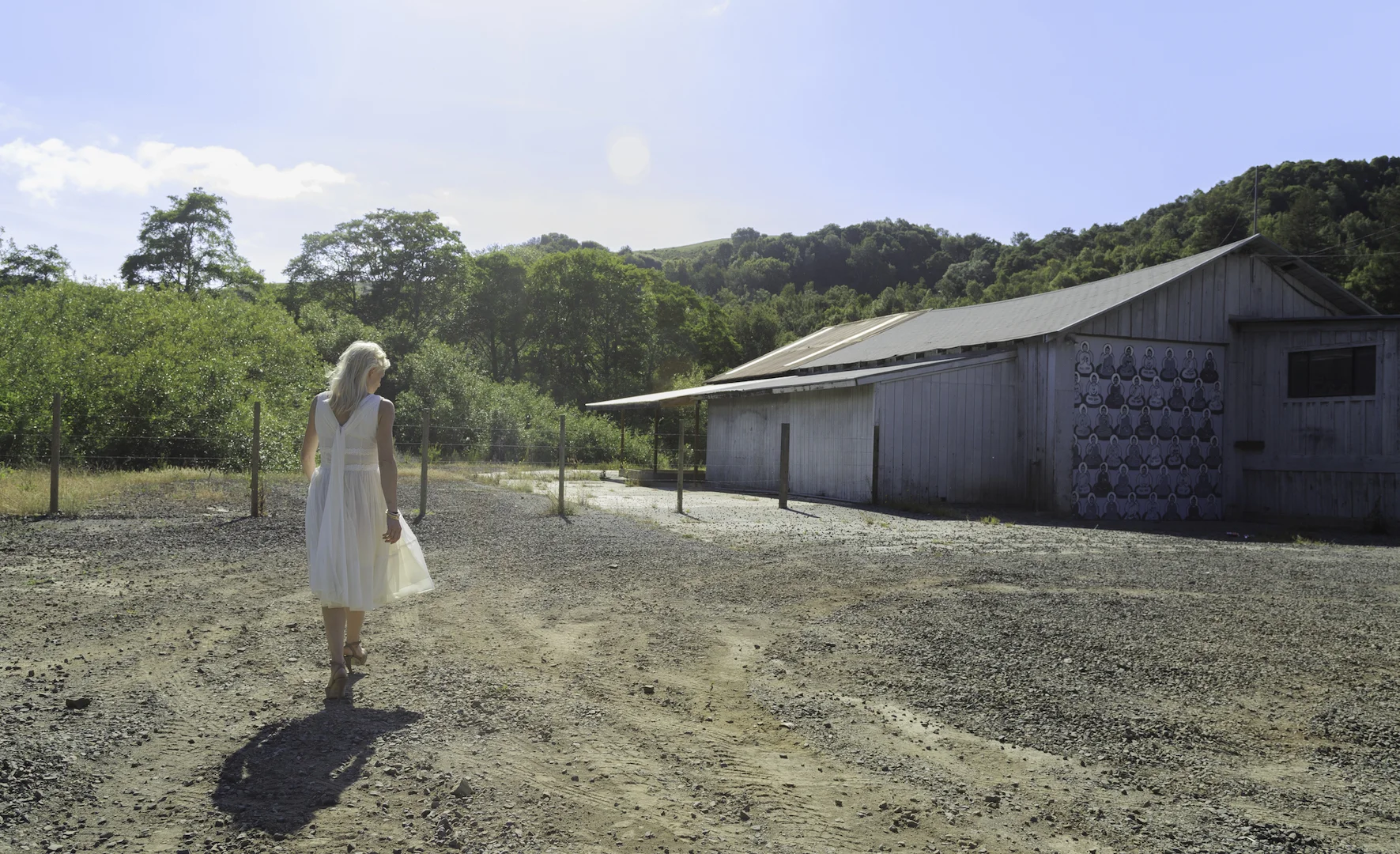 MPR_Palombo_14_HarshLight RESIZED.jpeg