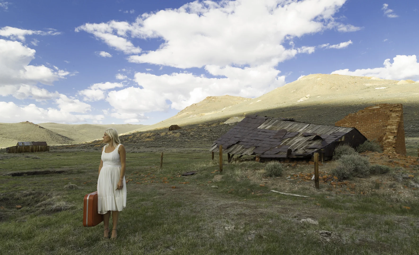 MPR_Palombo_13_Shelter RESIZED.jpeg