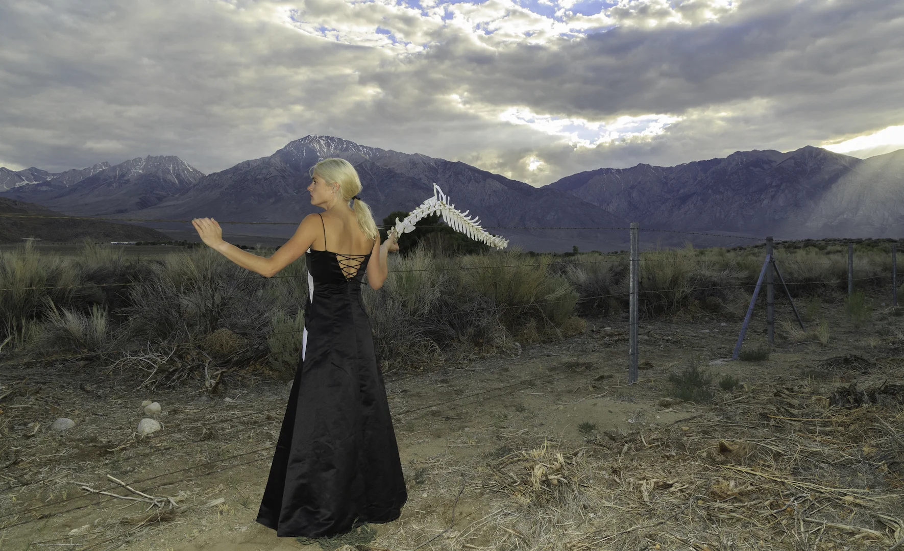 MPR_Palombo_11_Encounters RESIZED.jpeg