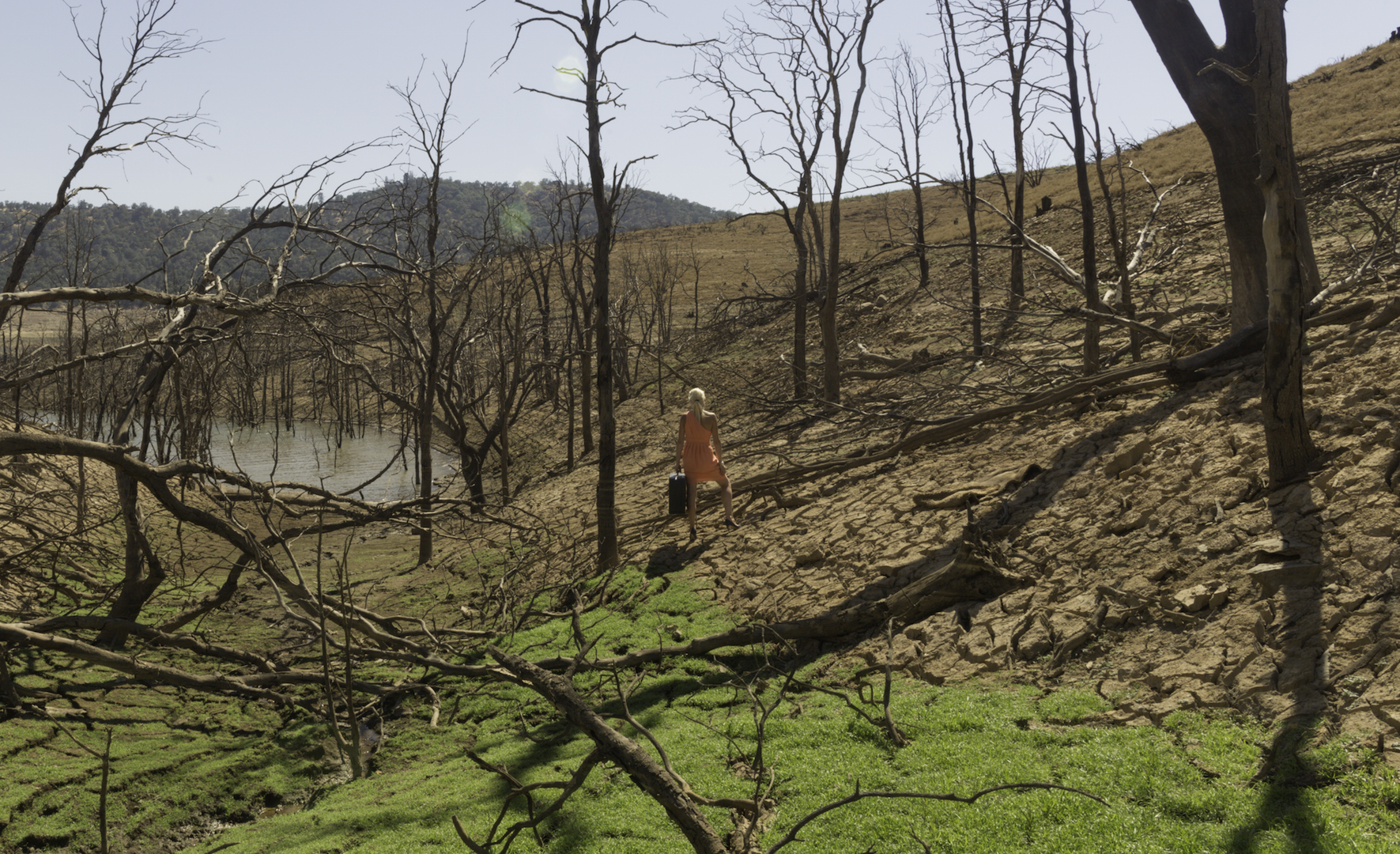 New Melones Lake
