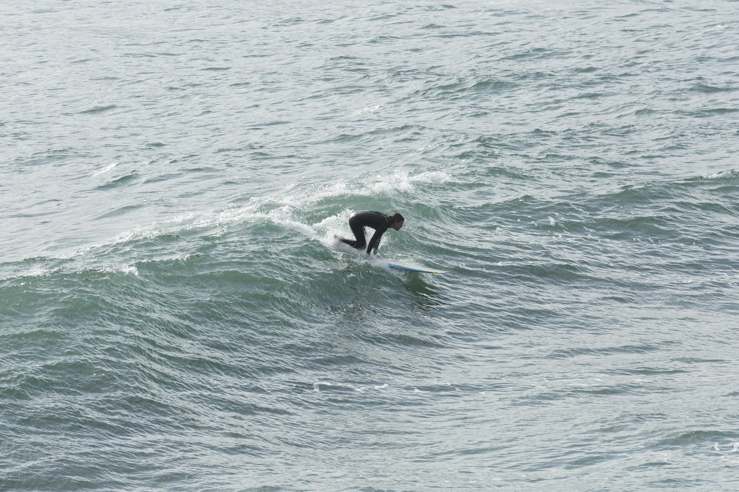 surf1.jpg