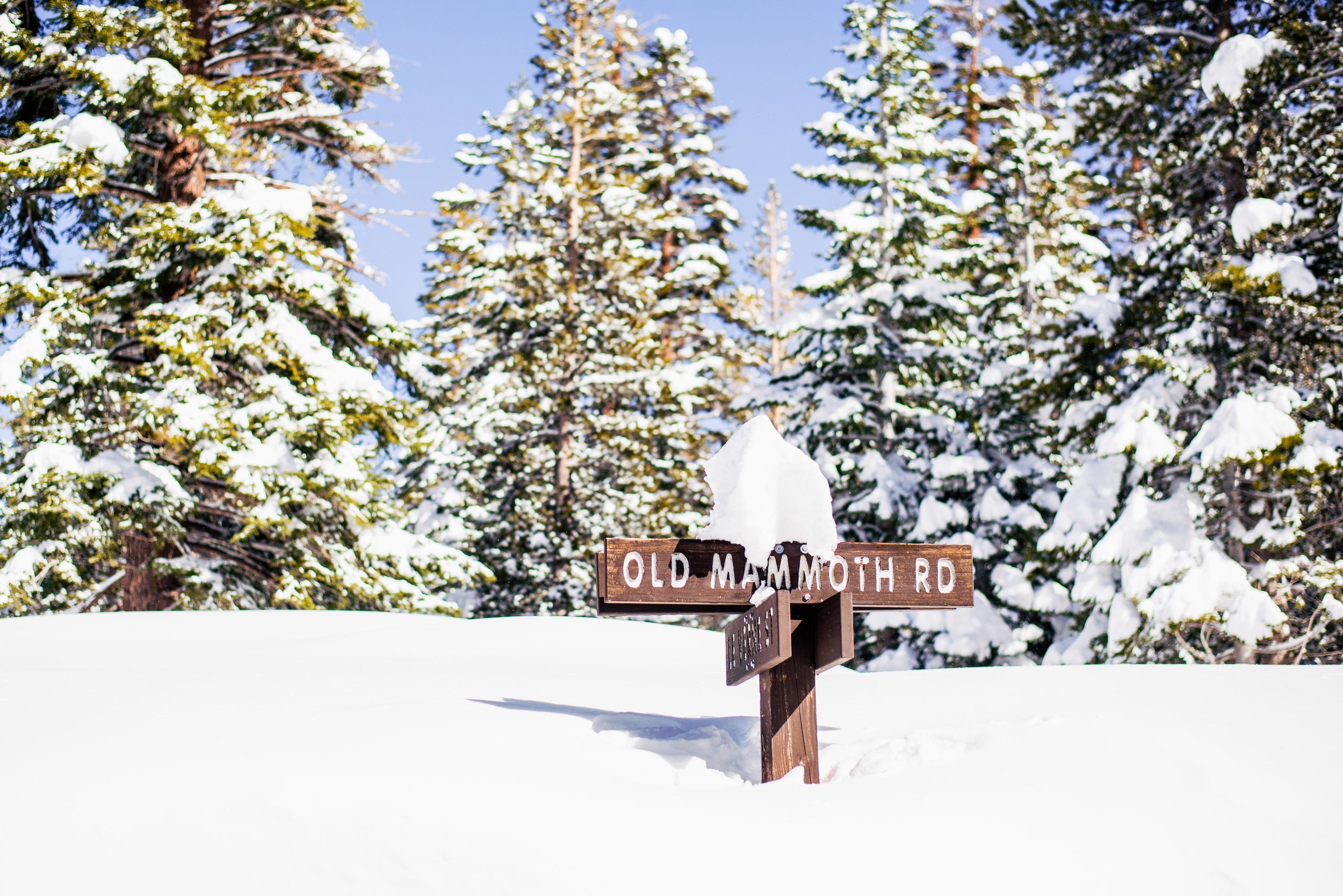 "Yield to Snow Ahead" Mammoth Lakes, CA (February 18, 2017) Last winter in California was a wet one, and the town of Mammoth Lakes received nearly 20 feet of snow (last time I checked). Most of the main roads were plowed when we visited, but many of them eventually just dead-ended at huge piles of plowed snow. It was a crazy time to be there.