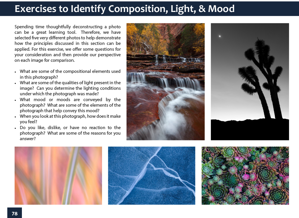 exercises_identify_composition_mood.jpg