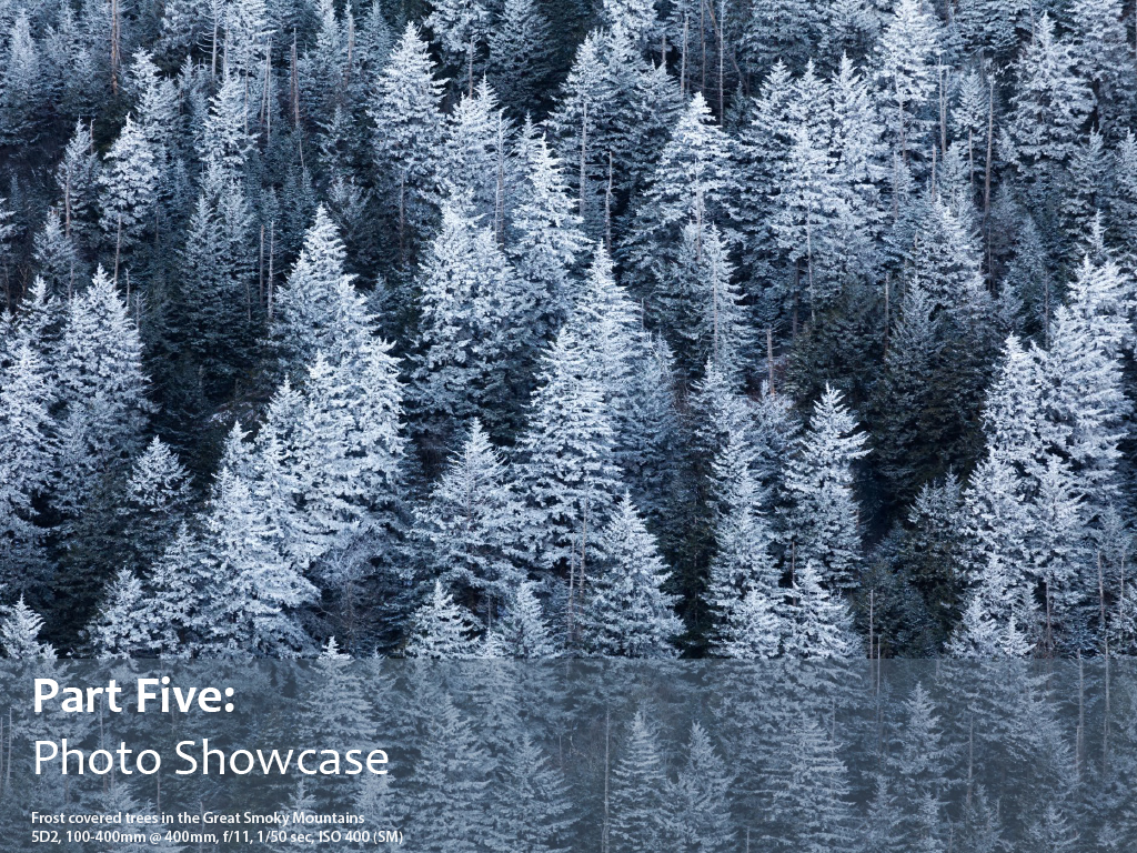 photo_showcase_part_5.jpg