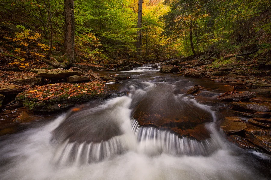 Autumn Cascade, Photo by Sarah Marino