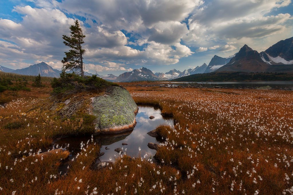 Jasper National Park