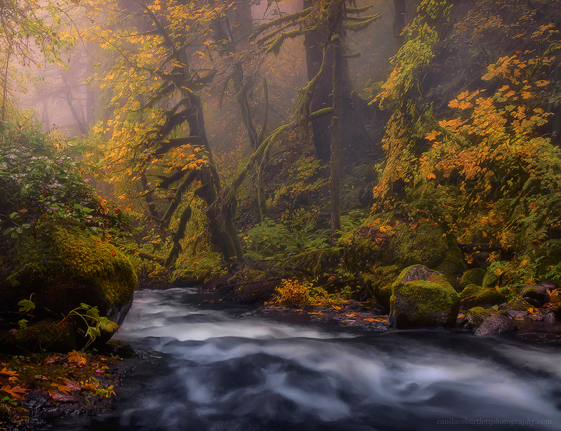 Hidden Place. Image (c) Candace Bartlett
