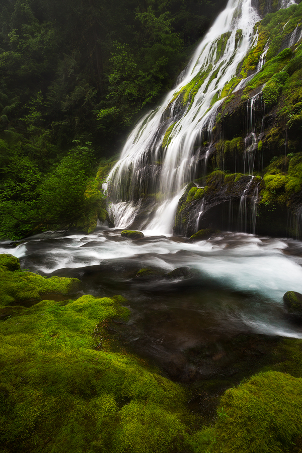 Panther Creek Falls in Washington State from a few years ago, when most of the moss was still intact. 