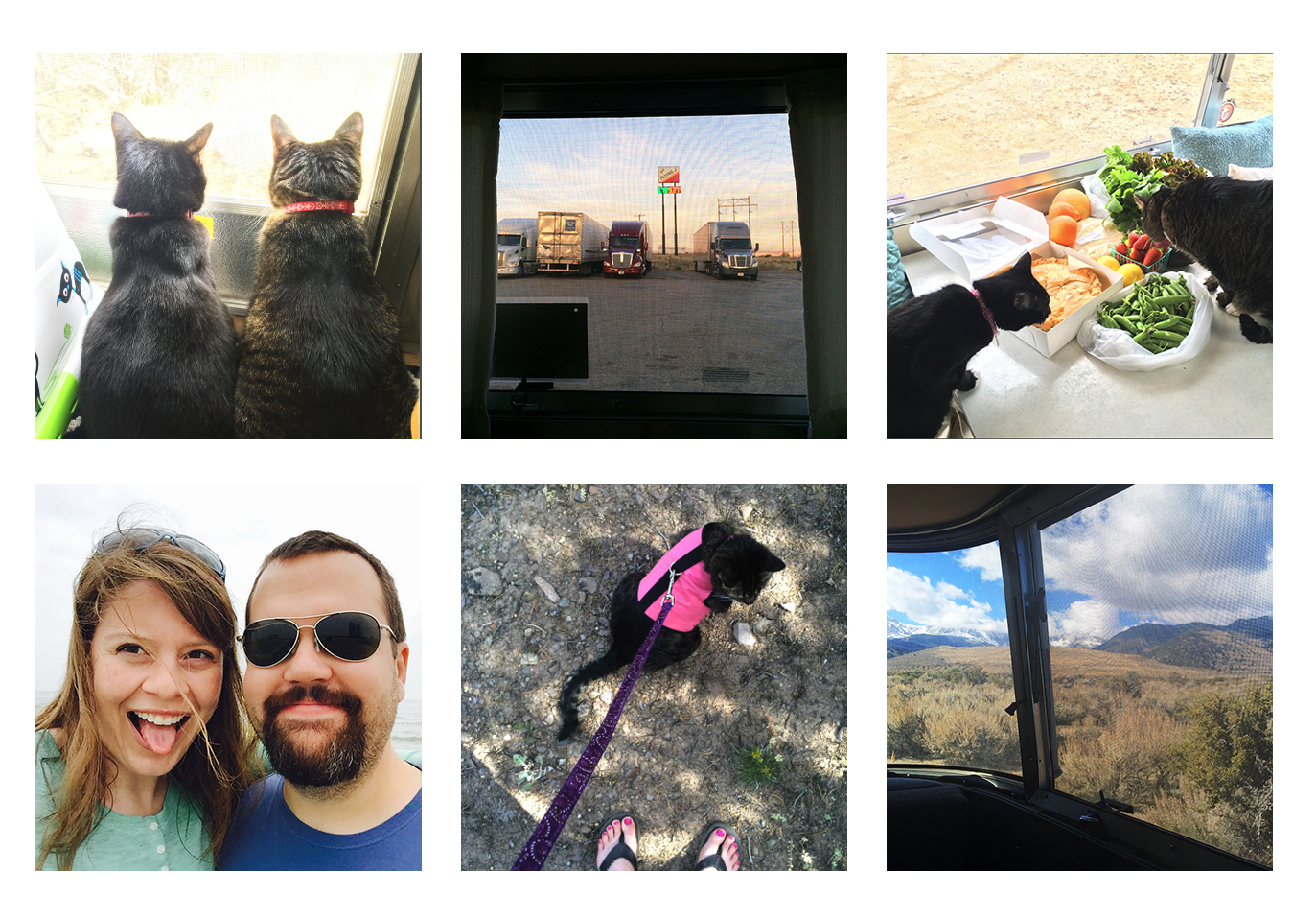 Some iPhone photos of our time on the road... From upper left: Cats enjoying the view of some birds, our first night spent at a Flying J Truck Stop, cats approving the farmer's market purchases in Anza-Borrego Desert State Park, having a bit of fun, walking a cat (which is more like a lot of resting with a few steps here and there), and a typical "office view" from the Airstream.