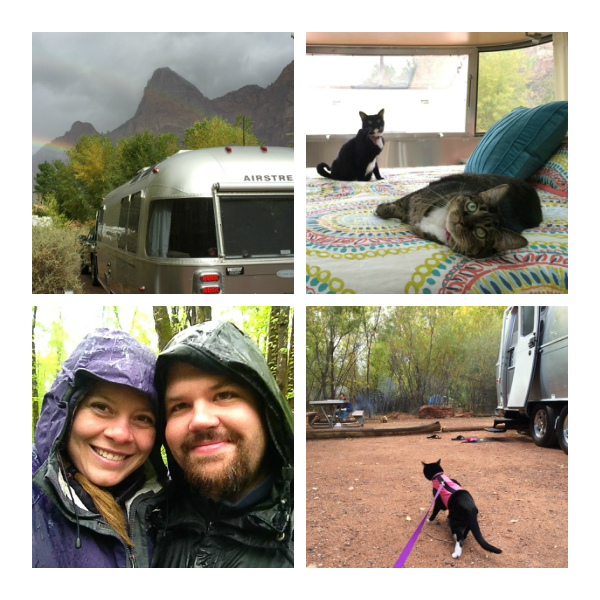 From the upper left... The Airstream in Zion National Park, a peak inside the trailer, hiking in the rain, and a kitty exploring a campsite. 