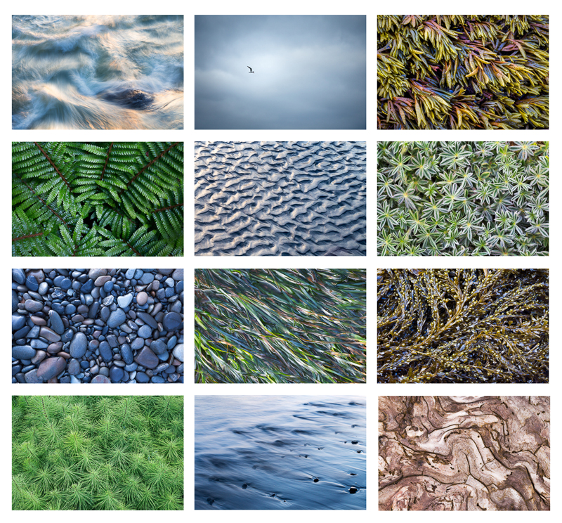 16. Small scenes from the Pacific Northwest