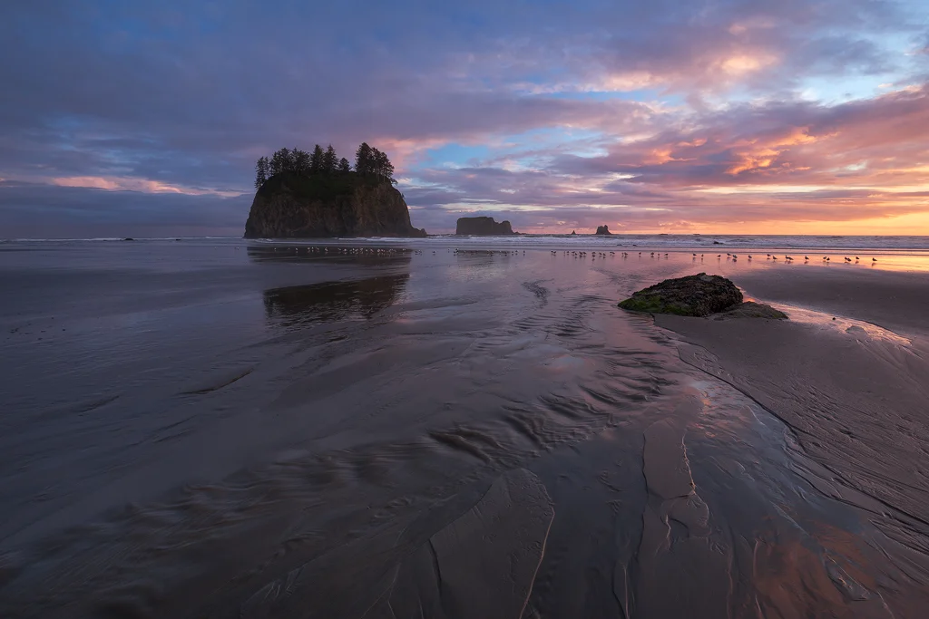Olympic National Park, Washington. (c) Ron Coscorrosa