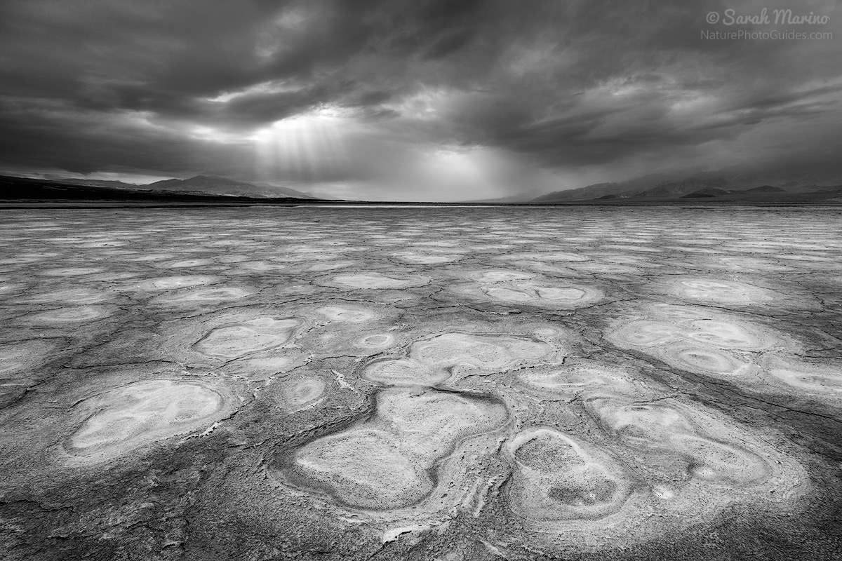 One of Death Valley National Park's many surreal landscapes. 