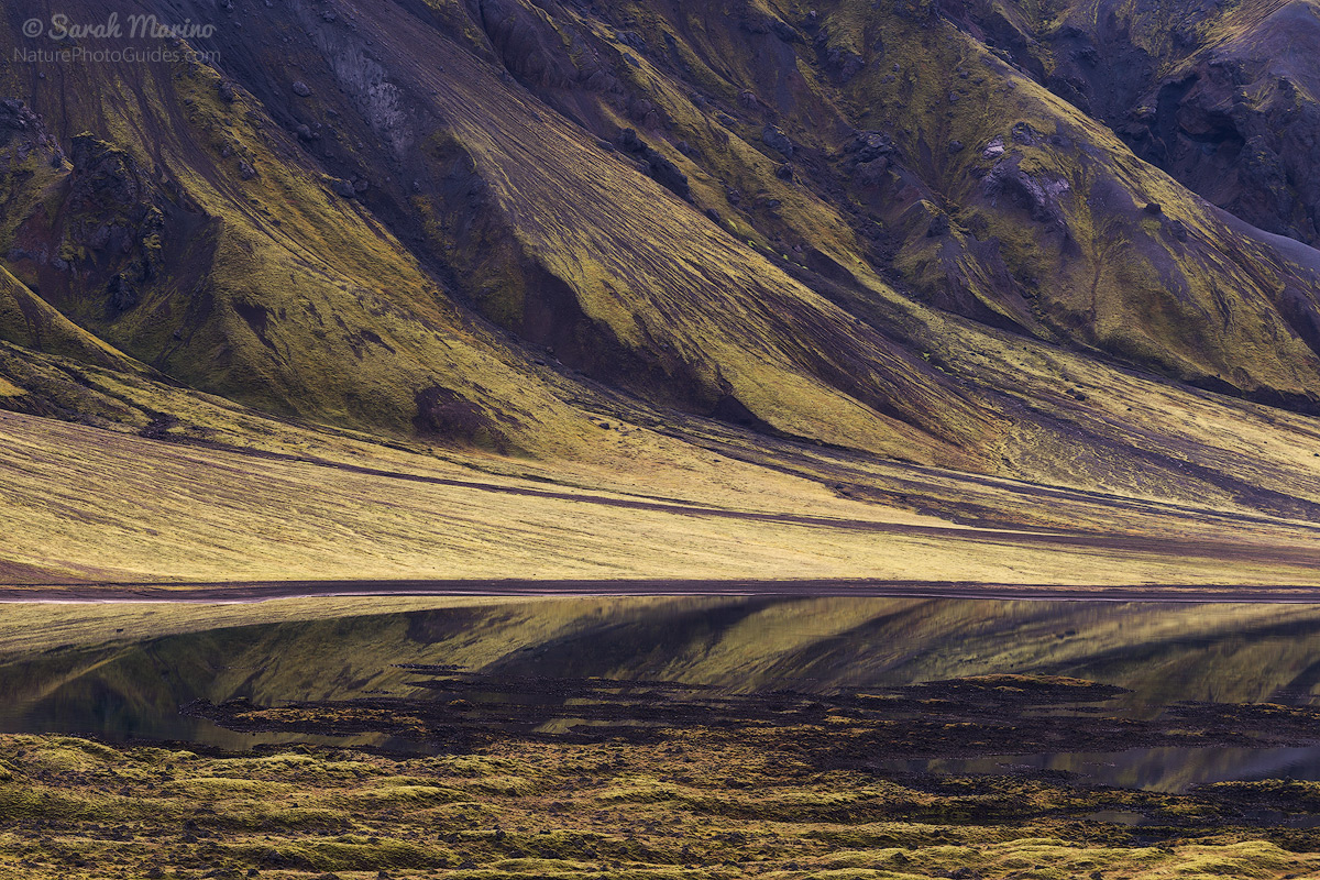 Iceland's characteristic green mountains reflect in a large lake in the Landmannalaugar region. 