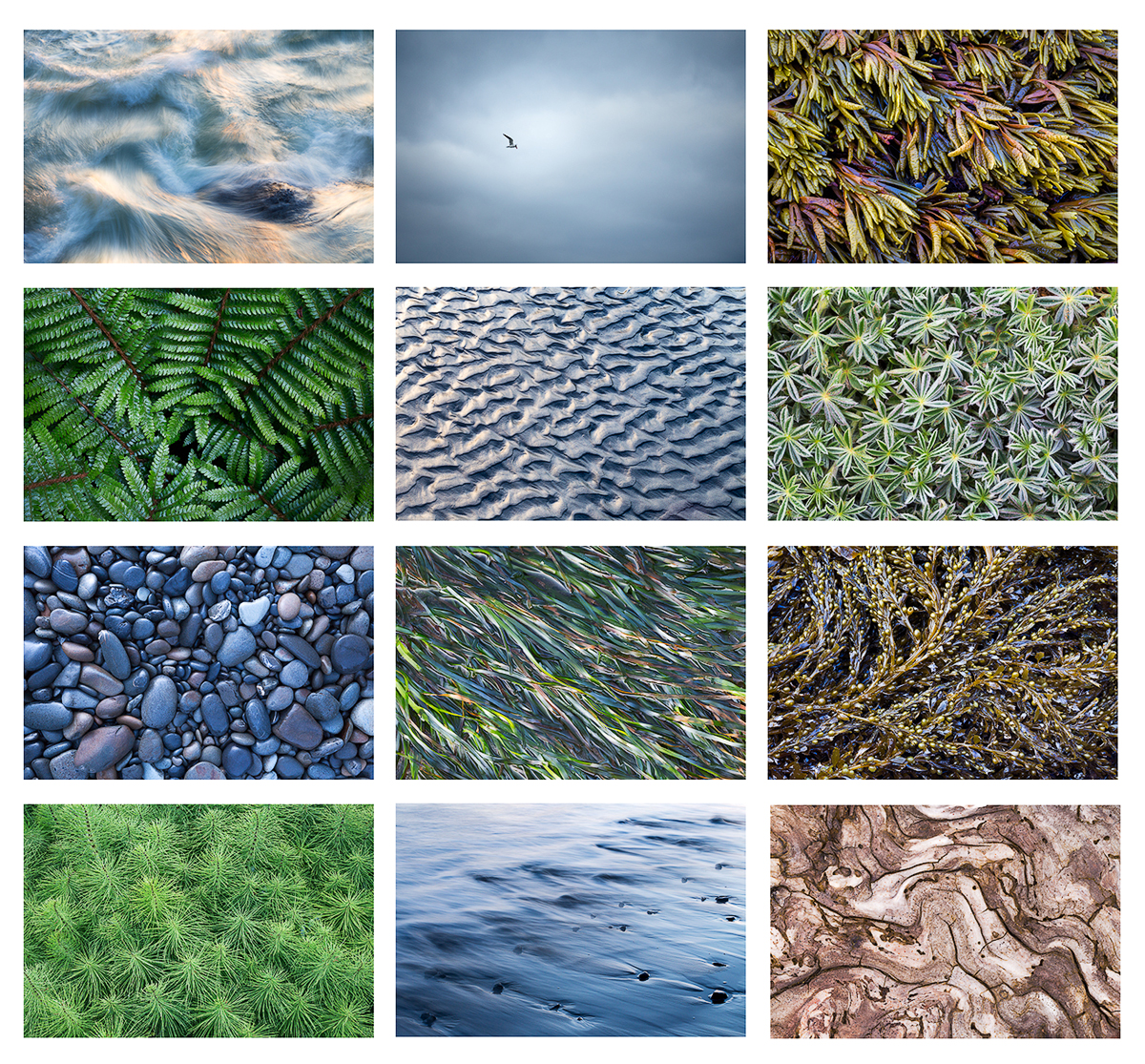 I took most of these photos in 2015 but assembled them as a collection in 2016, so I am sharing them here. All of these photos were taken in Oregon. 