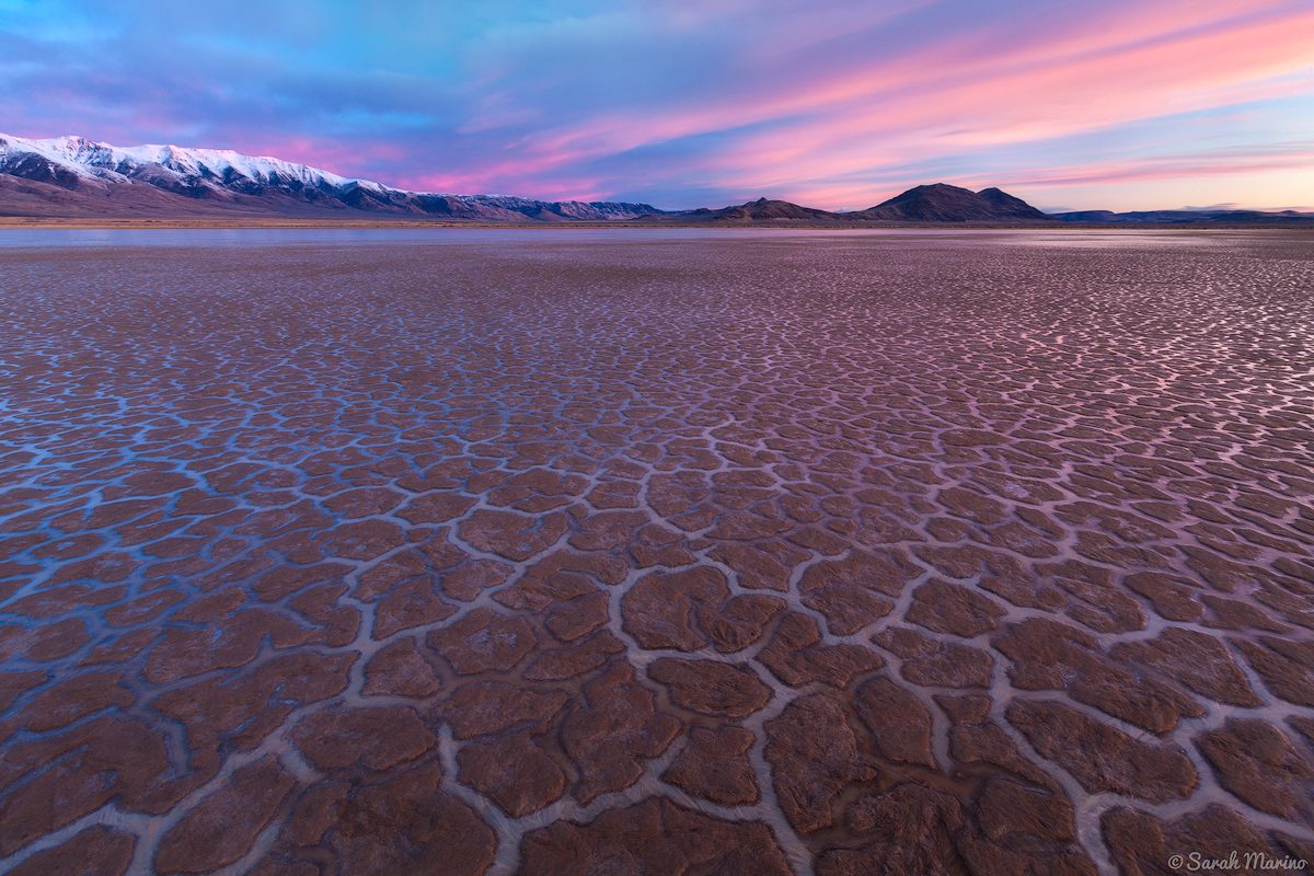 Mud cracks filled with ice at the Alvord Playa, below the snow-capped Steens Mountains, in the remote southeastern corner of Oregon near the Malheur Wildlife Refuge. Public land around the Steens Mountains is being considered for transfer or sale under HR 621, as discussed in this post. 