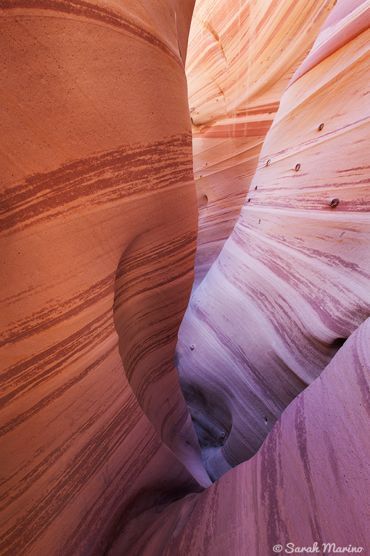 This is one of the many remote canyons in Grand Staircase-Escalante National Monument. This canyon is one of the first non-commercialized slot canyons I visited and based on my experience here (and in a lot of other places in GSENM), I believe that the wilderness quality of this area should be protected in perpetuity.