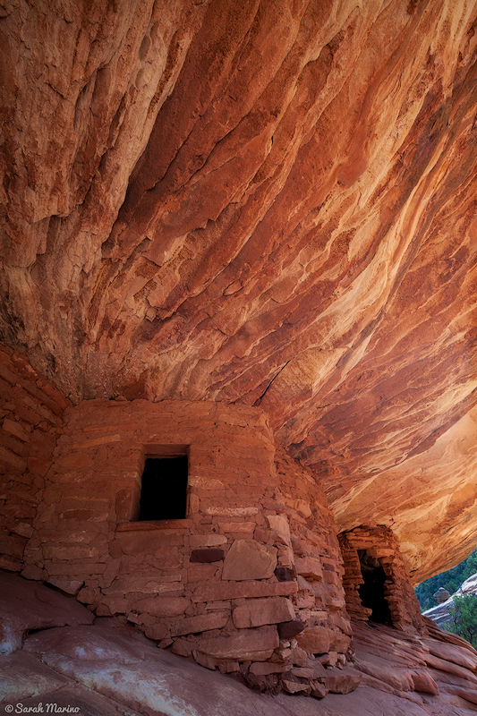 This is an Ancestral Puebloan ruin that is now protected as part of the new Bears Ears National Monument. I took this photo in my early days of nature photography and the experience visiting this place and others like it helped form my love for Utah's wild places.