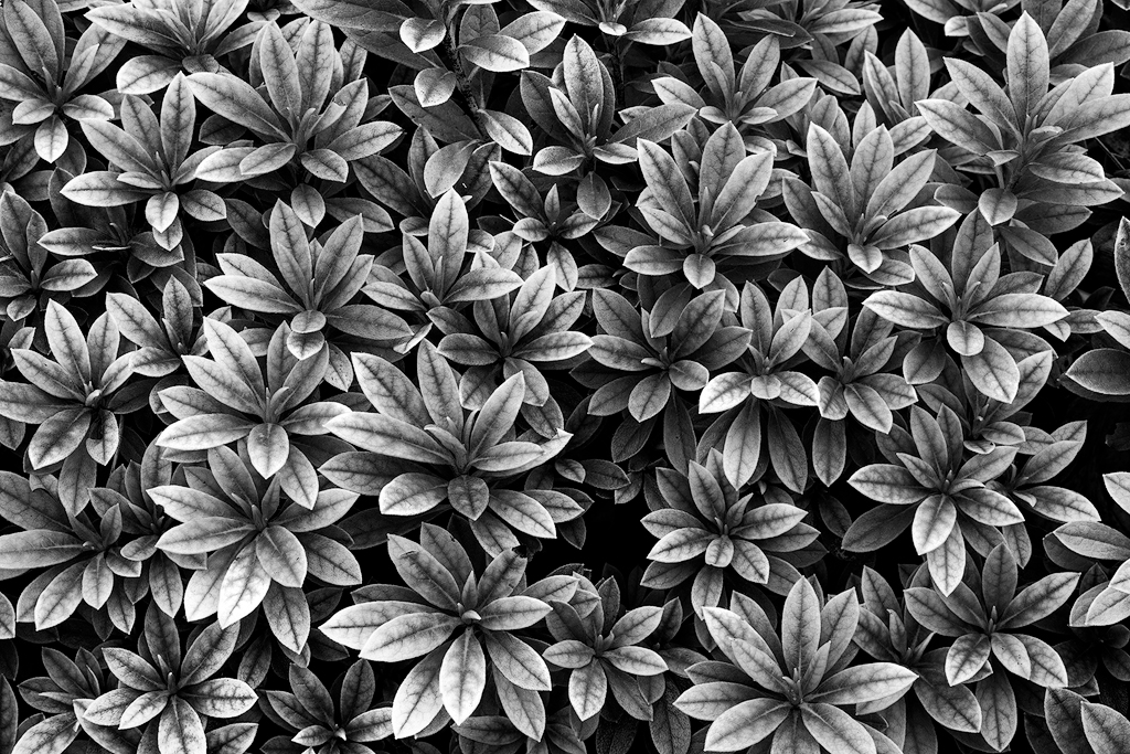Repetition