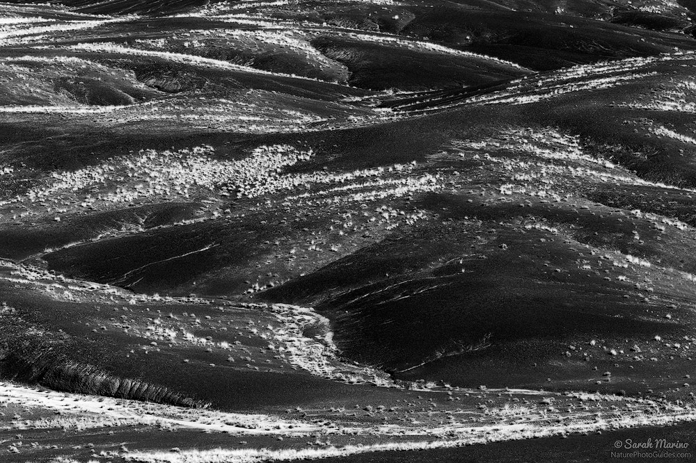 Grasses cover parts of badlands near the Painted Desert in Arizona. 