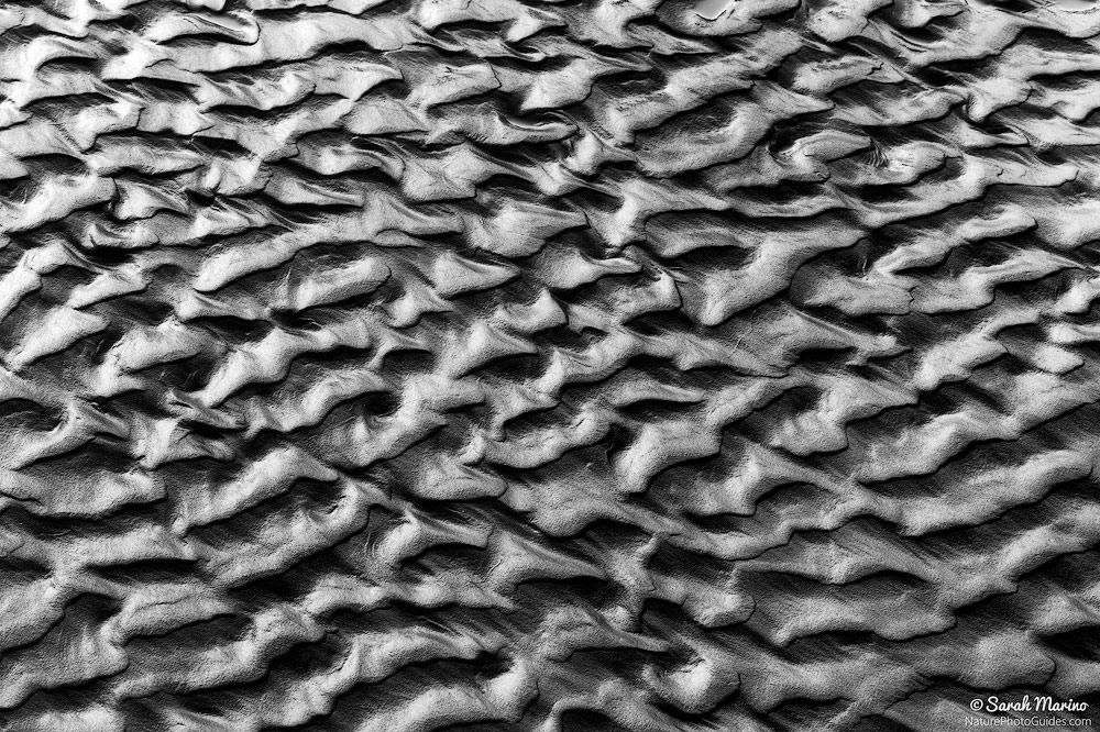 Light hits ripples on a beach in Olympic National Park, Washington. 