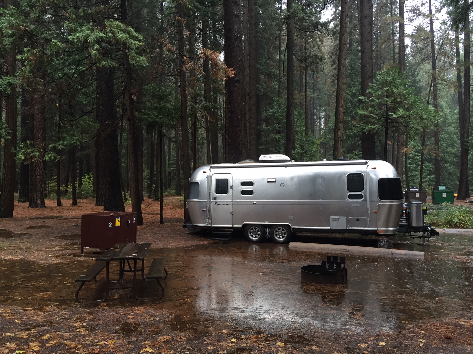 A wet morning in Yosemite National Park
