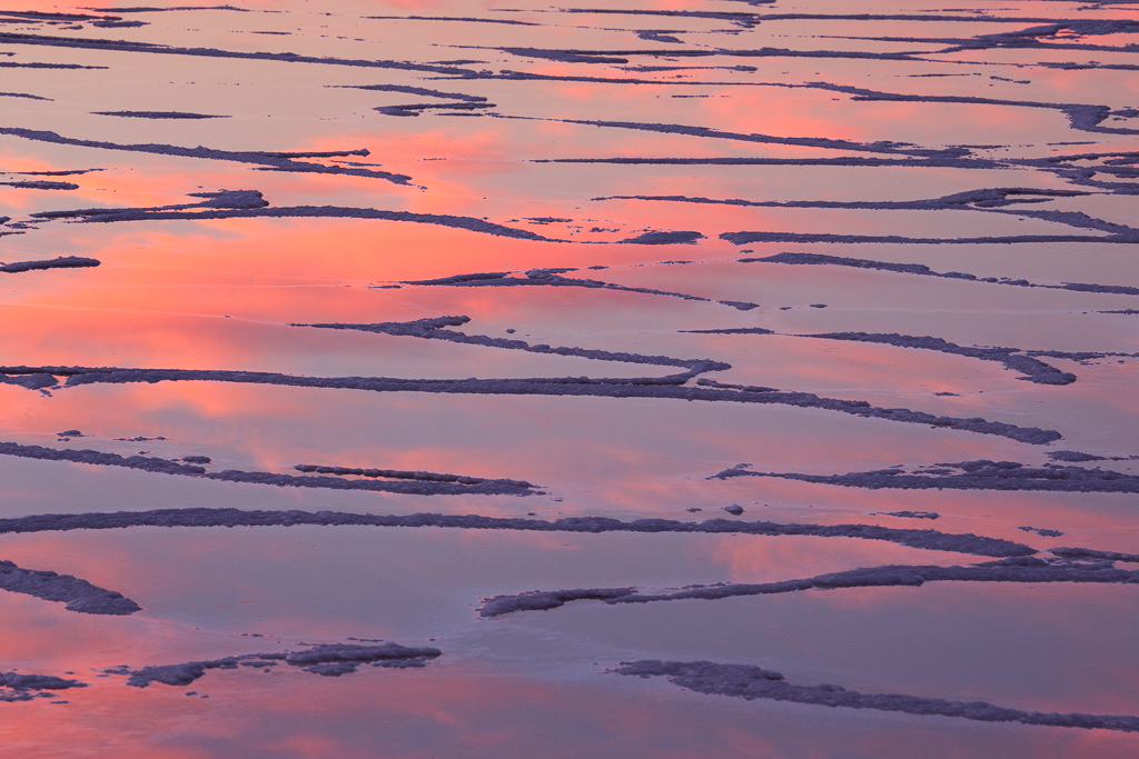 "Salty Reflections"