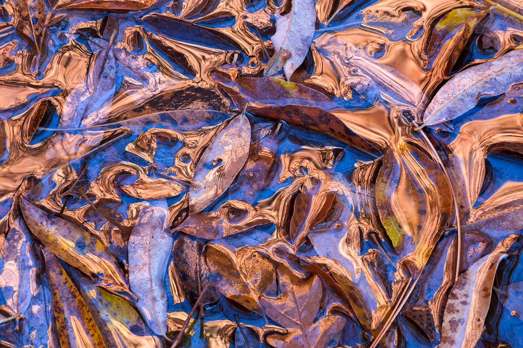 "Liquid Gold"