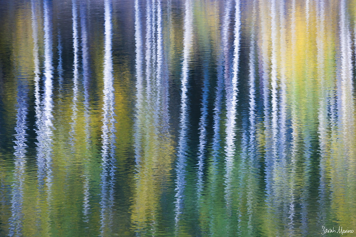 Autumn Stripes, Colorado