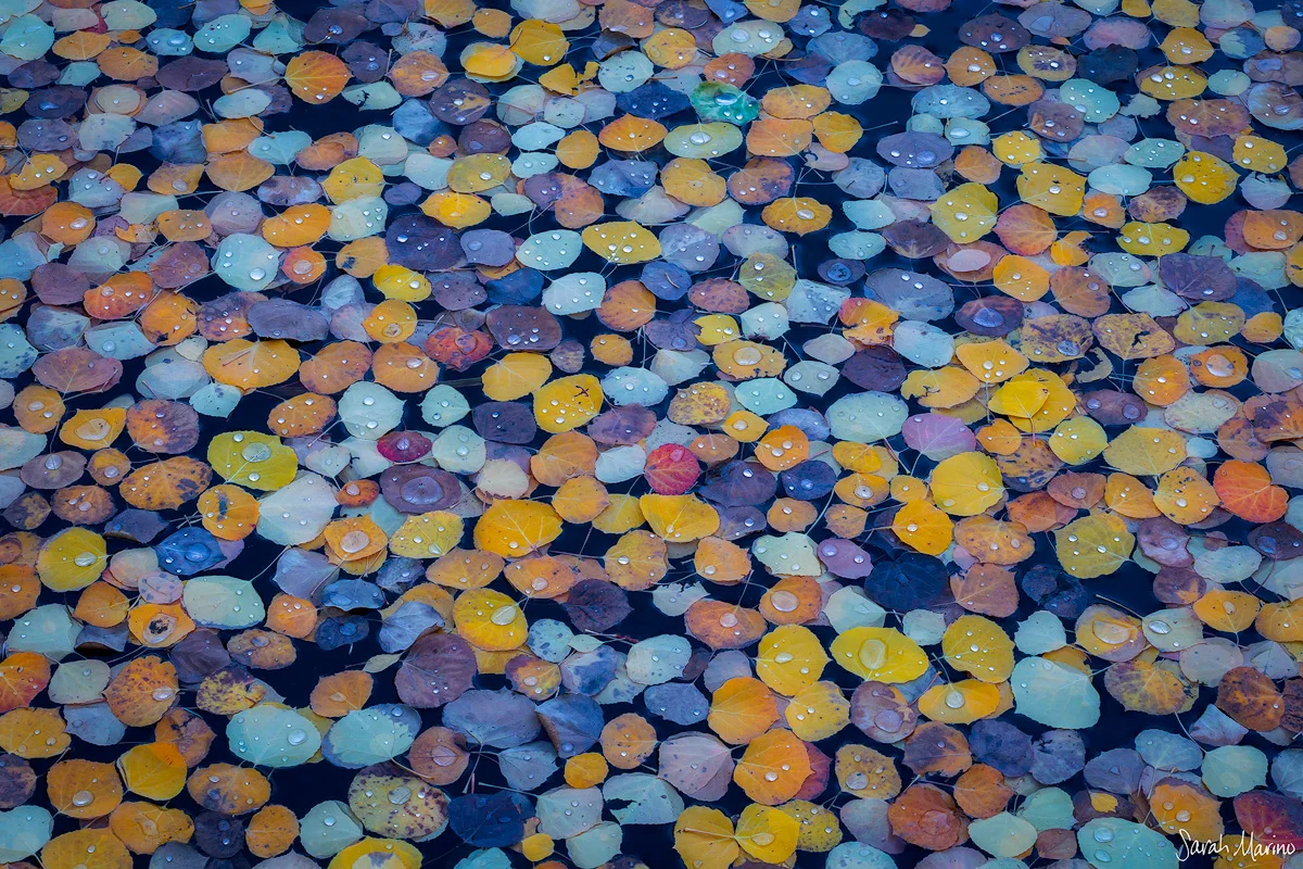 Aspen Gems, Colorado