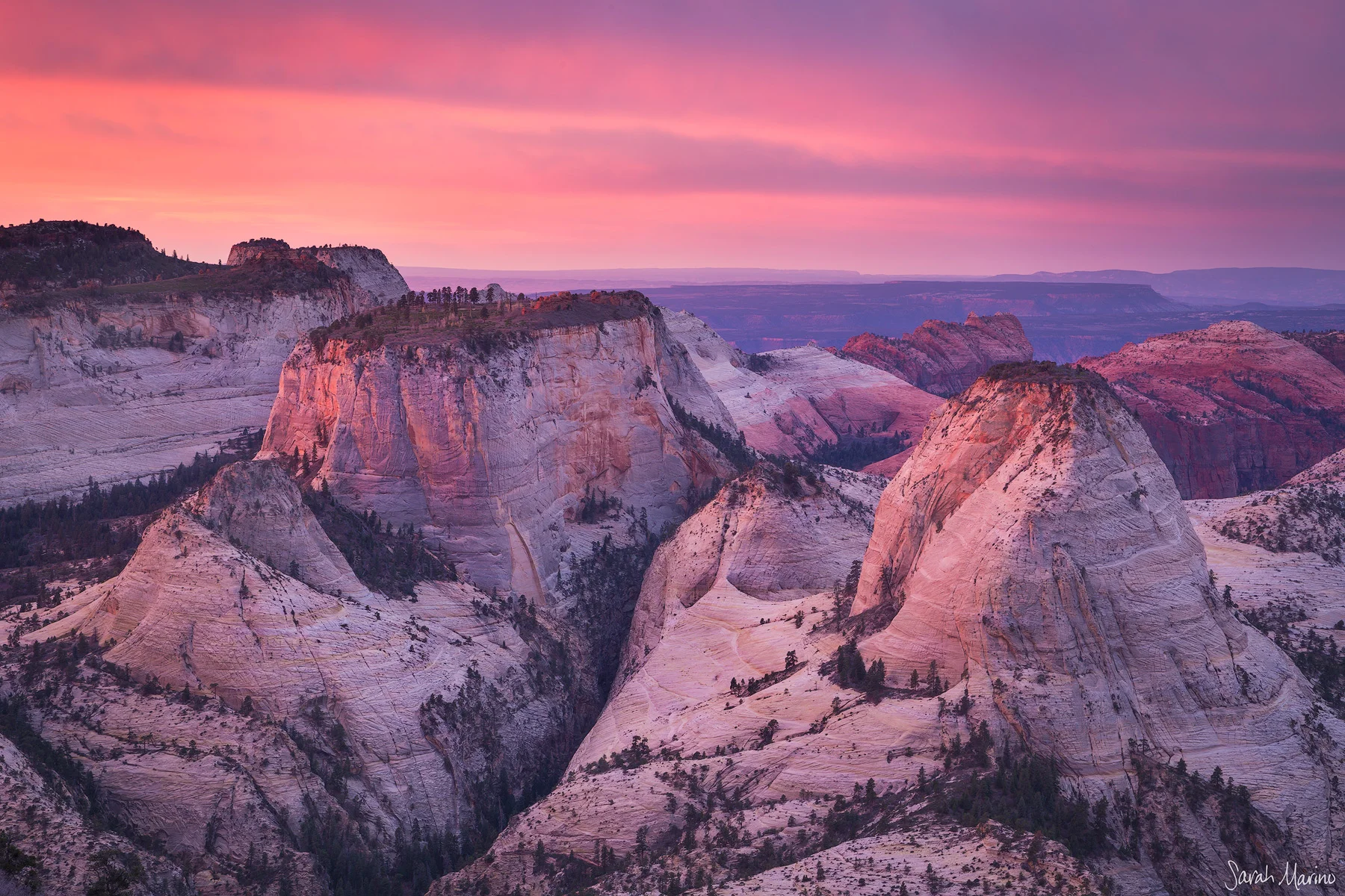 Zion National Park, a place that has been dramatically affected by over-crowding caused in part through location information shared on social media.