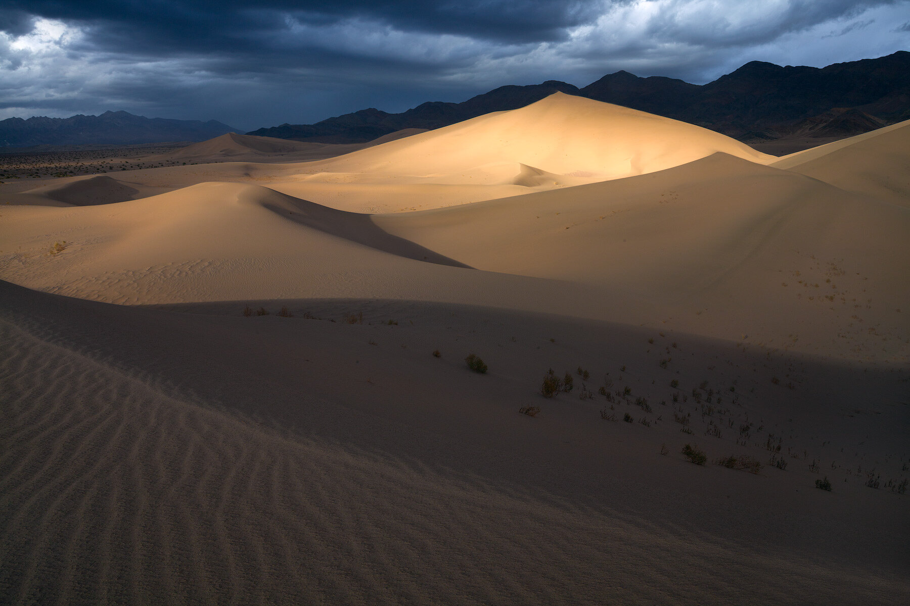 Dune Beacon