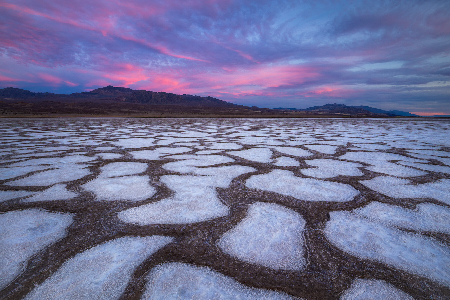 Sarah-Marino-DV-Salt-Flats-1200px.jpg