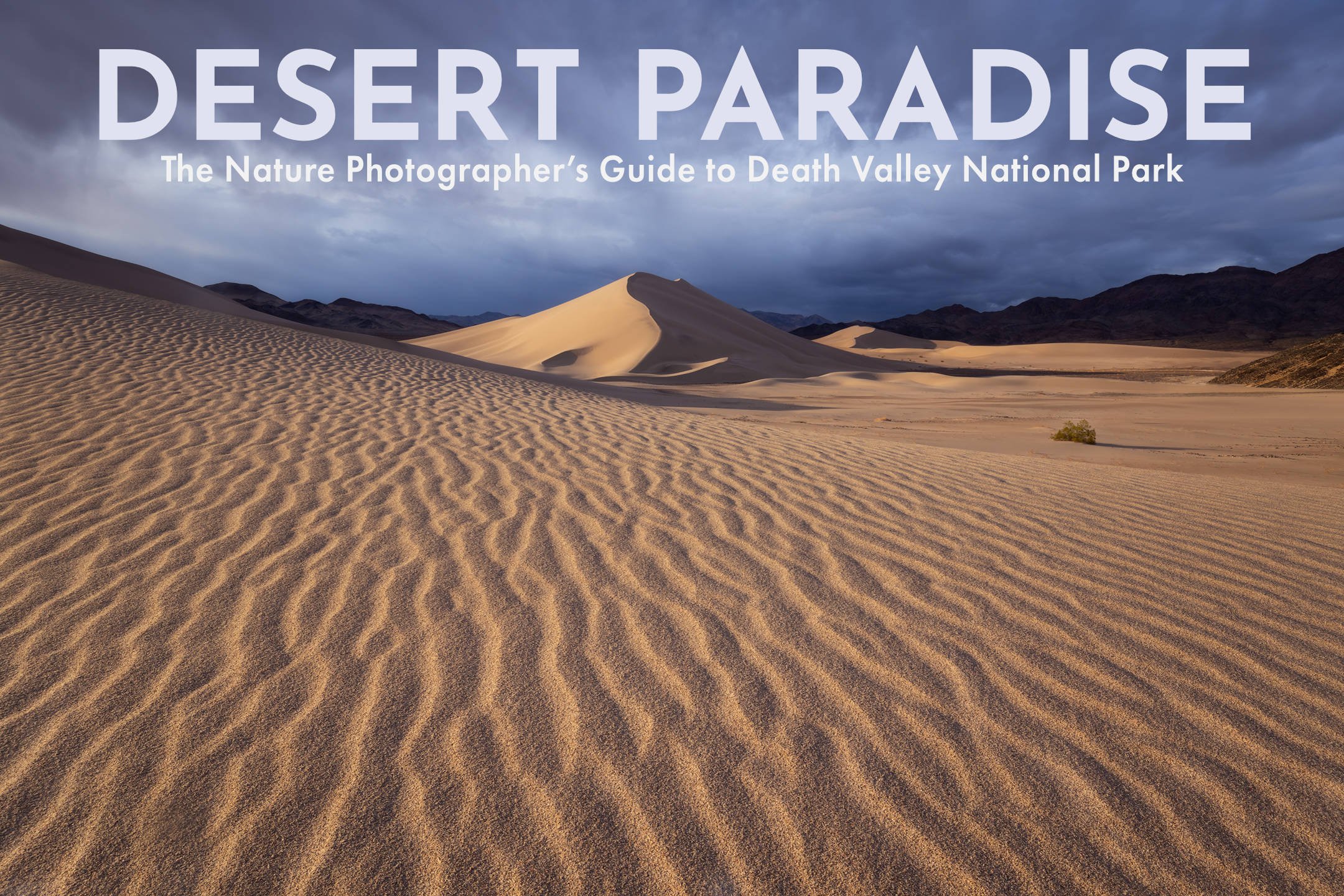 Desert Paradise Second Edition Cover for Store_1.jpg