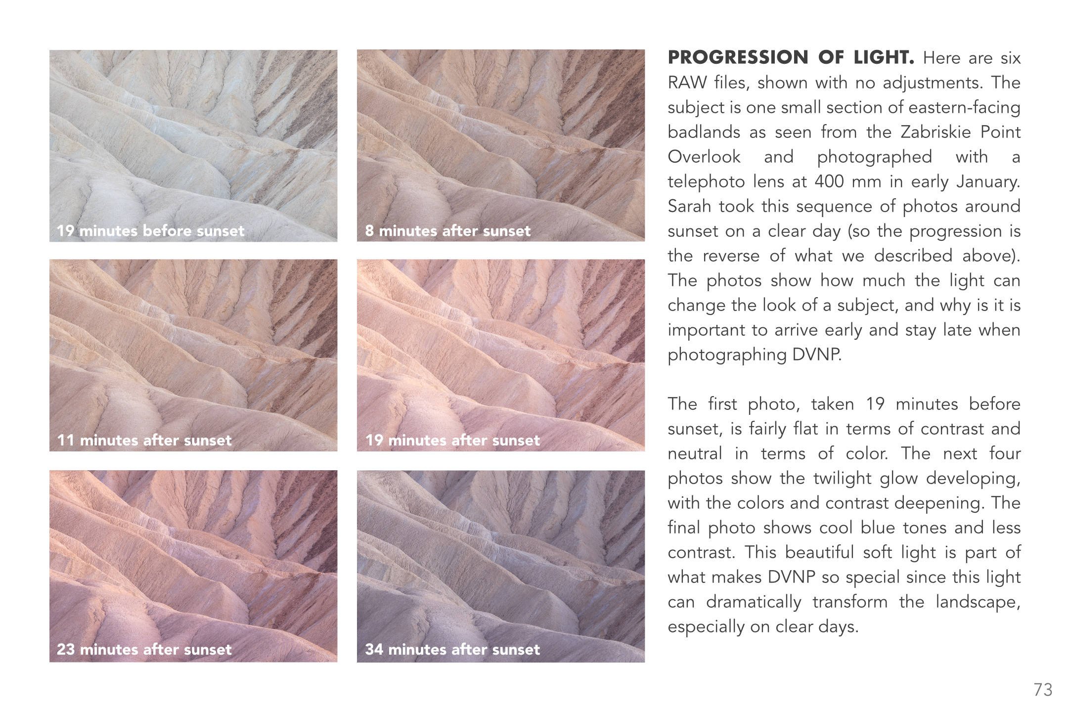 Desert Paradise Second Edition Sample Pages_6.jpg