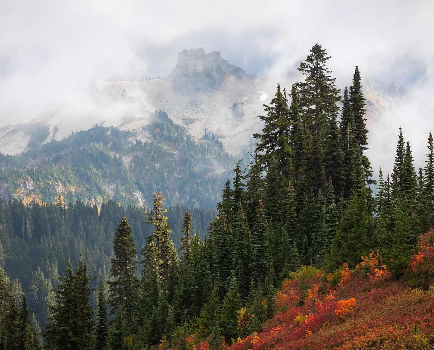 A beautifully stormy day in Mount Rainier National Park last year.